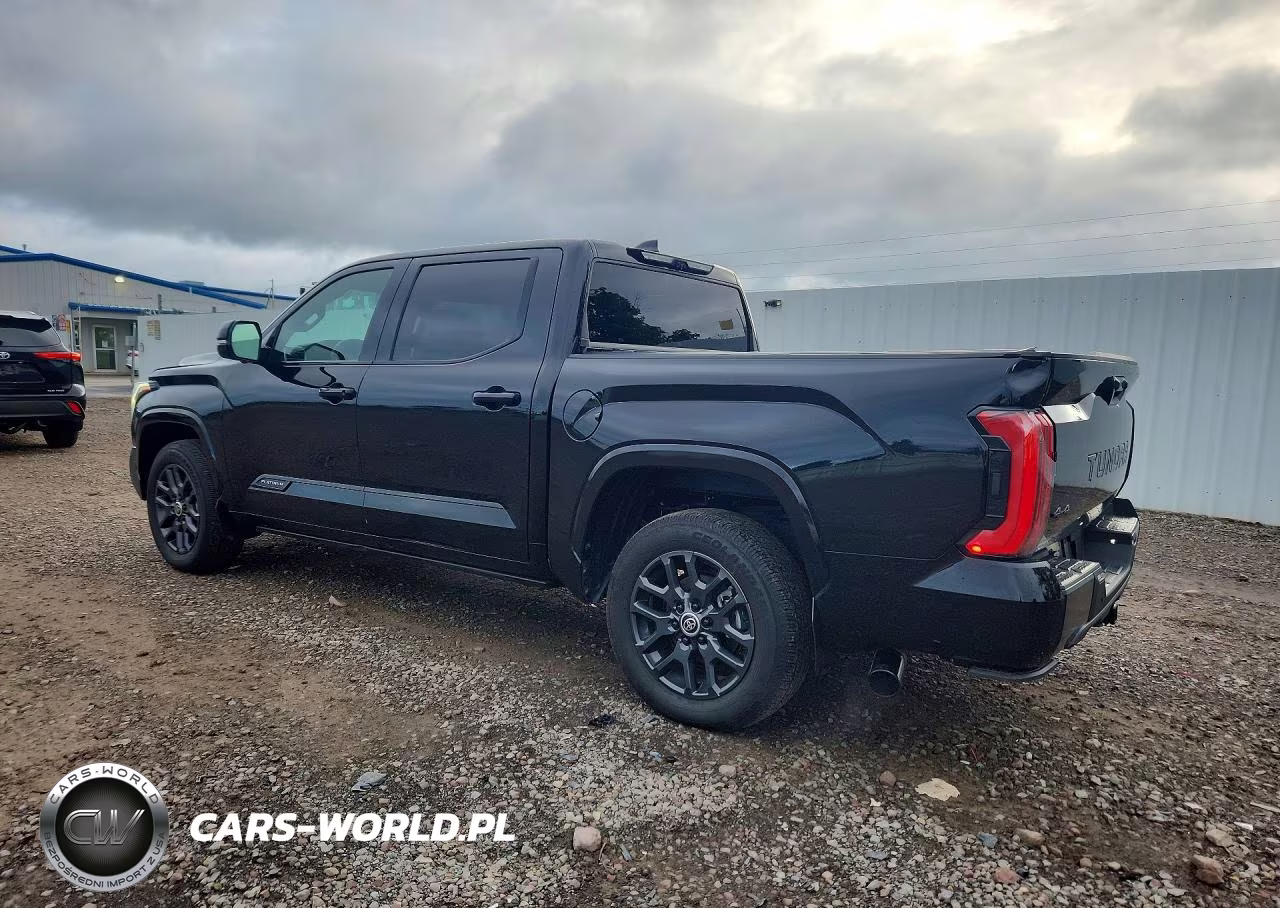 2024 Toyota Tundra Platinum VIN:5TFNA5DB5RX221237 - 2
