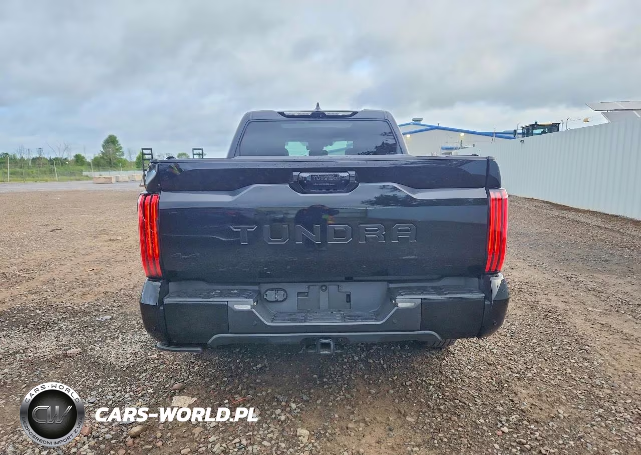 2024 Toyota Tundra Platinum VIN:5TFNA5DB5RX221237 - 6