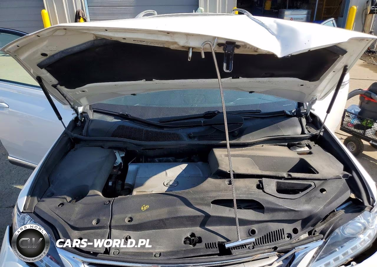 2013 Lexus Rx 350 Base VIN:2T2BK1BA1DC215022 - 11