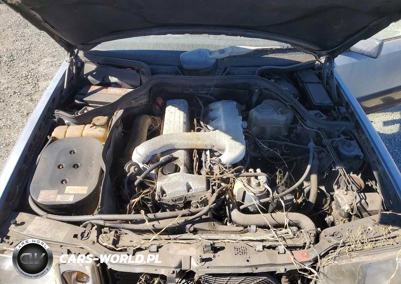 1987 Mercedes-Benz 300 Dt VIN:WDBEB33D7HA274493 - 11