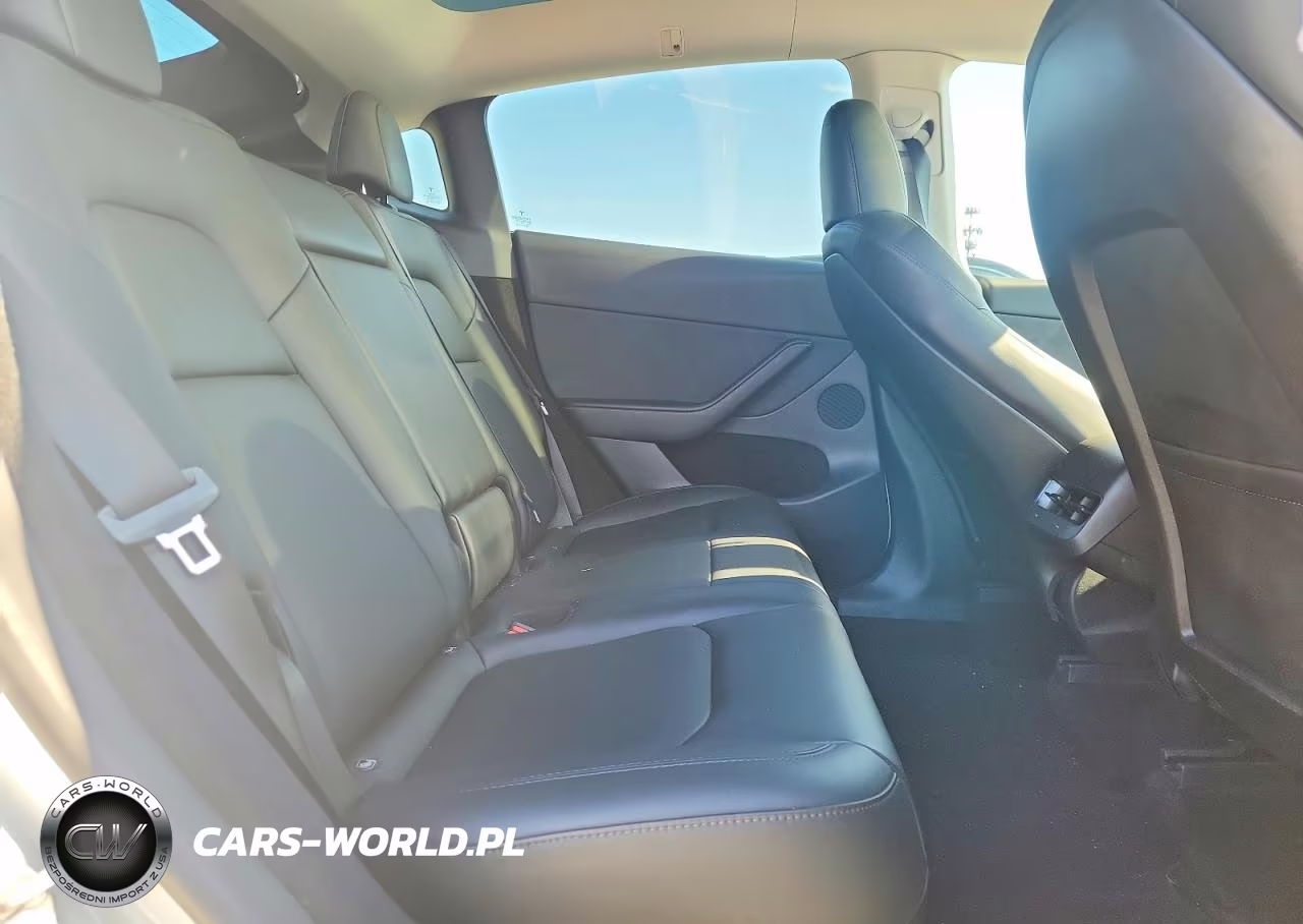 2023 Tesla Model Y VIN:7SAYGDEE9PA096314 - 10