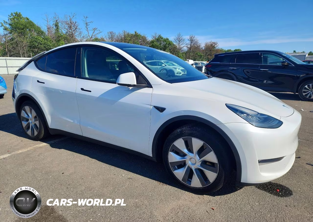 2023 Tesla Model Y VIN:7SAYGDEE9PA096314 - 4