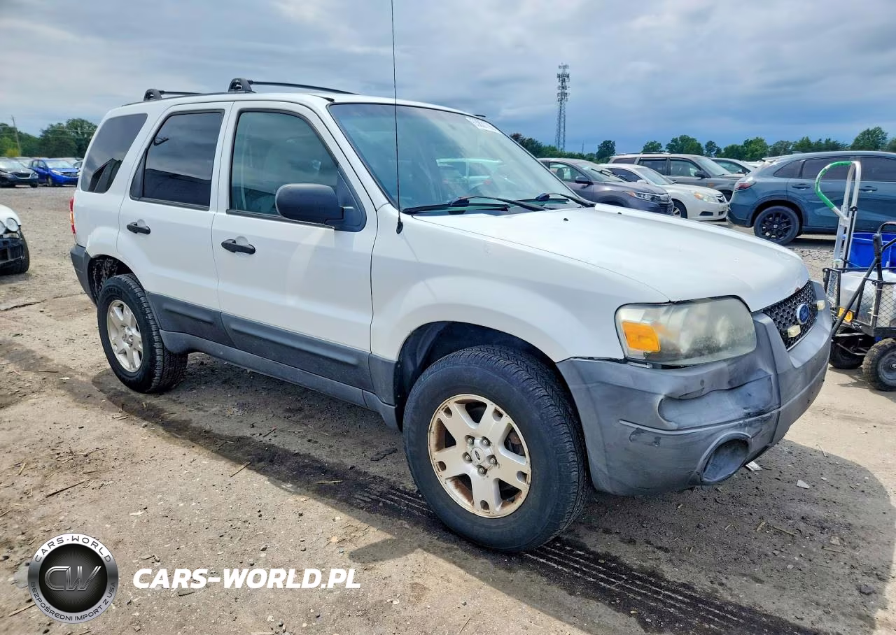 2006 Ford Escape Xlt VIN:1FMCU93196KA44680 - 4