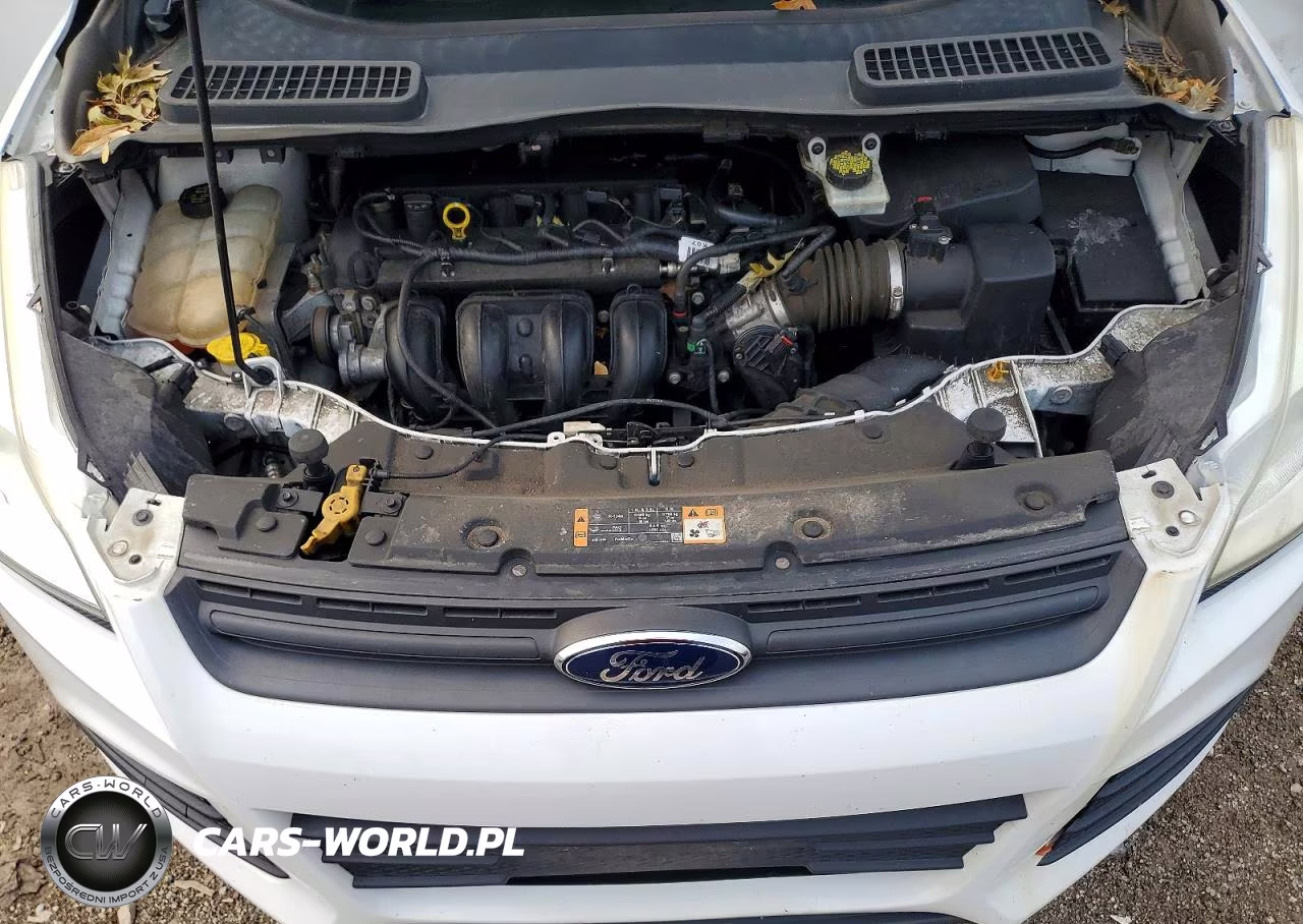 2016 Ford Escape S VIN:1FMCU0F74GUC21038 - 12