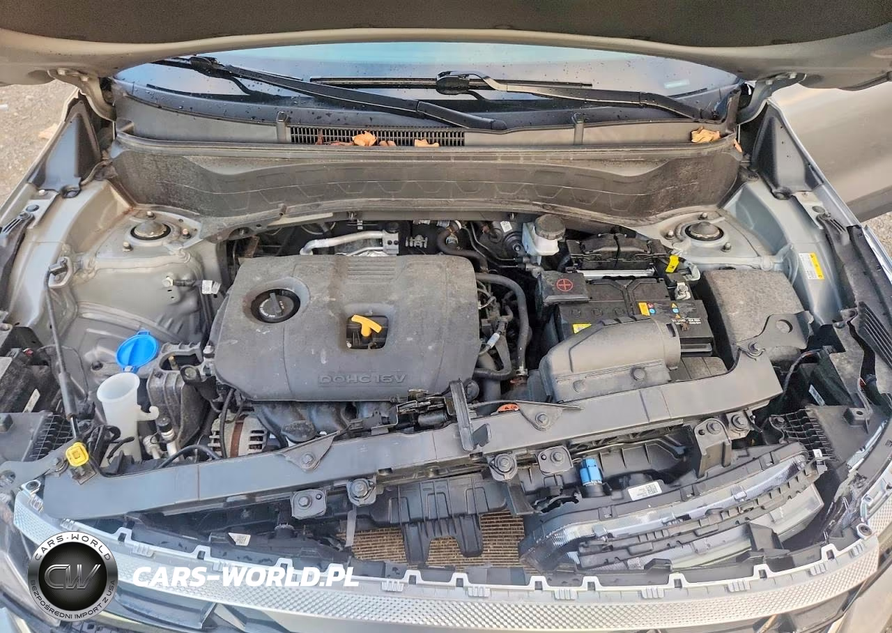 2024 Kia Seltos Ex VIN:KNDERCAA4R7639684 - 12