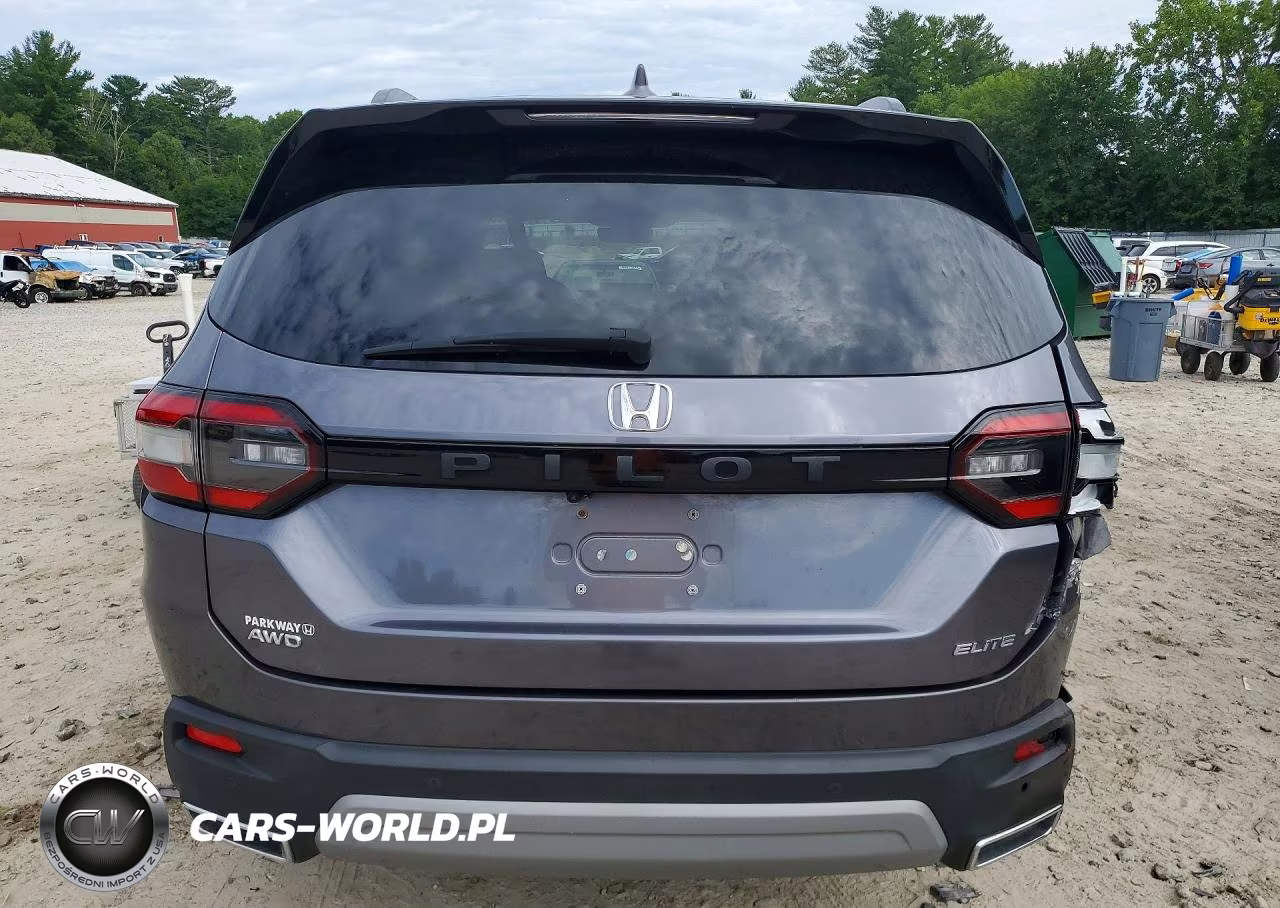 2023 Honda Pilot Elite VIN:5FNYG1H80PB010666 - 6