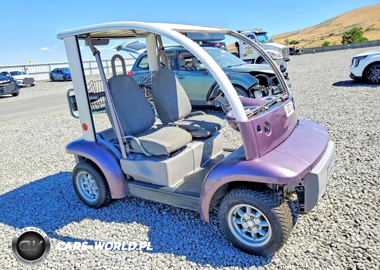 2002 Ford Think Golf Cart – zdjęcie 1 z 10