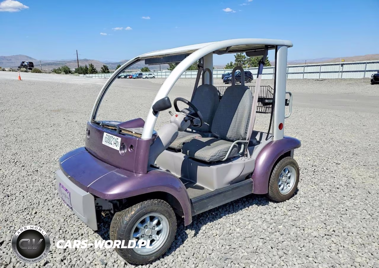 2002 Ford Think Golf Cart VIN:1FABP205620100821 - 2