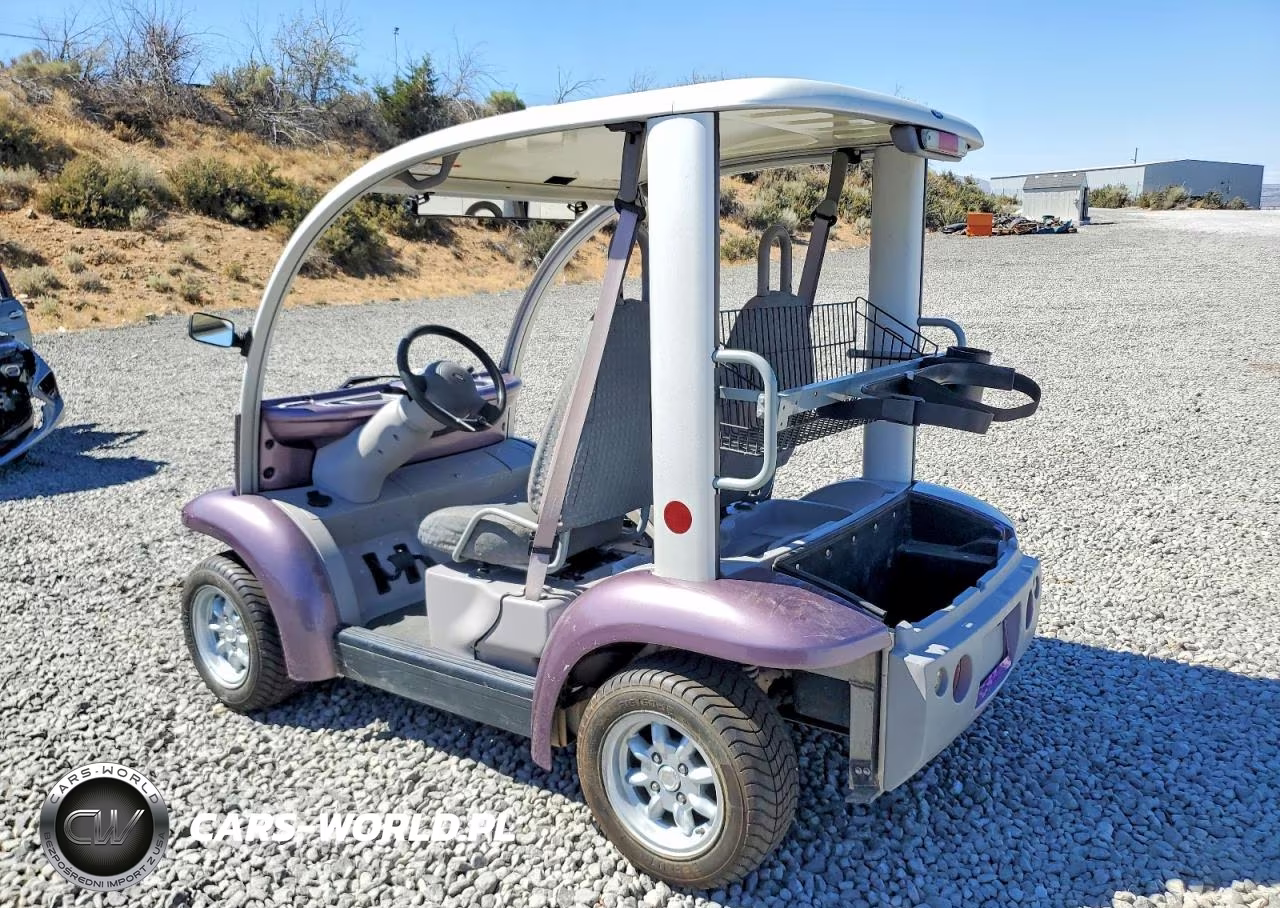 2002 Ford Think Golf Cart VIN:1FABP205620100821 - 3