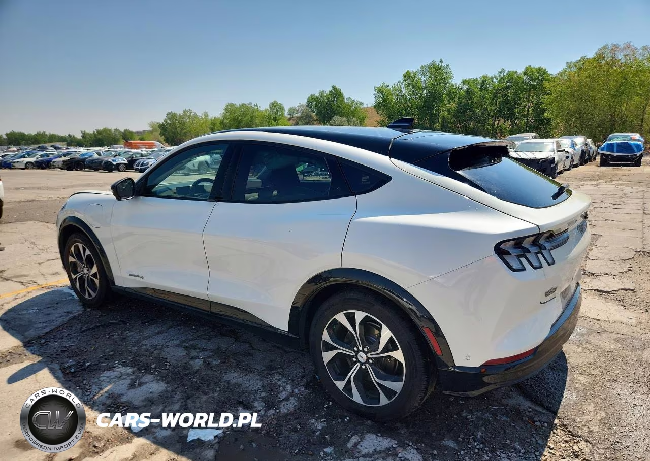 2021 Ford Mustang Mach-E Premium VIN:3FMTK3SSXMMA54735 - 2