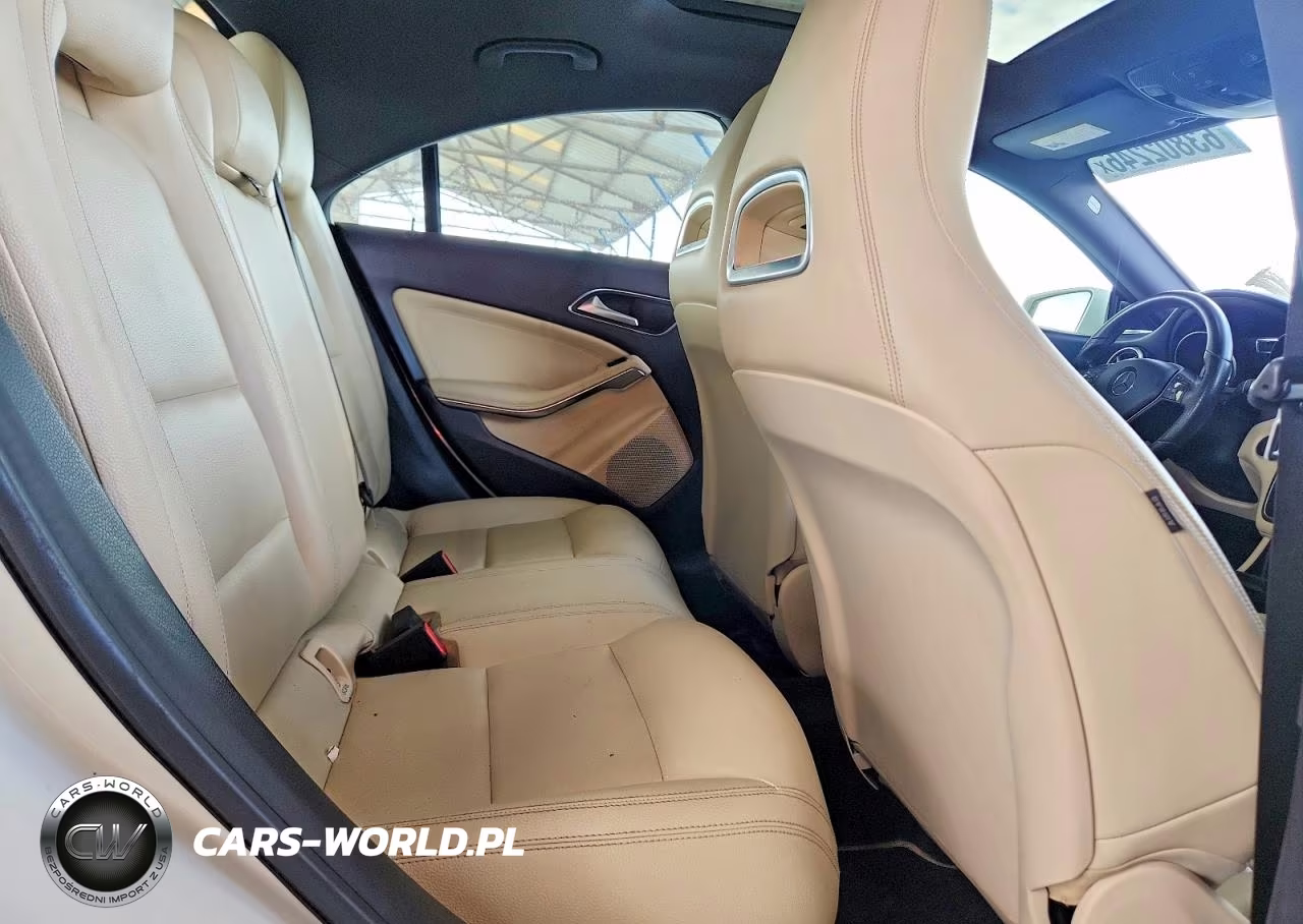 2014 Mercedes-Benz Cla 250 VIN:WDDSJ4EB2EN160985 - 10