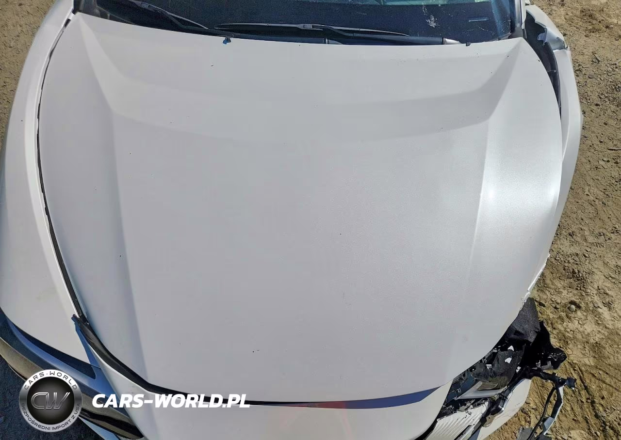 2023 Lexus Rz 450E VIN:JTJAAAABXPA009300 - 11