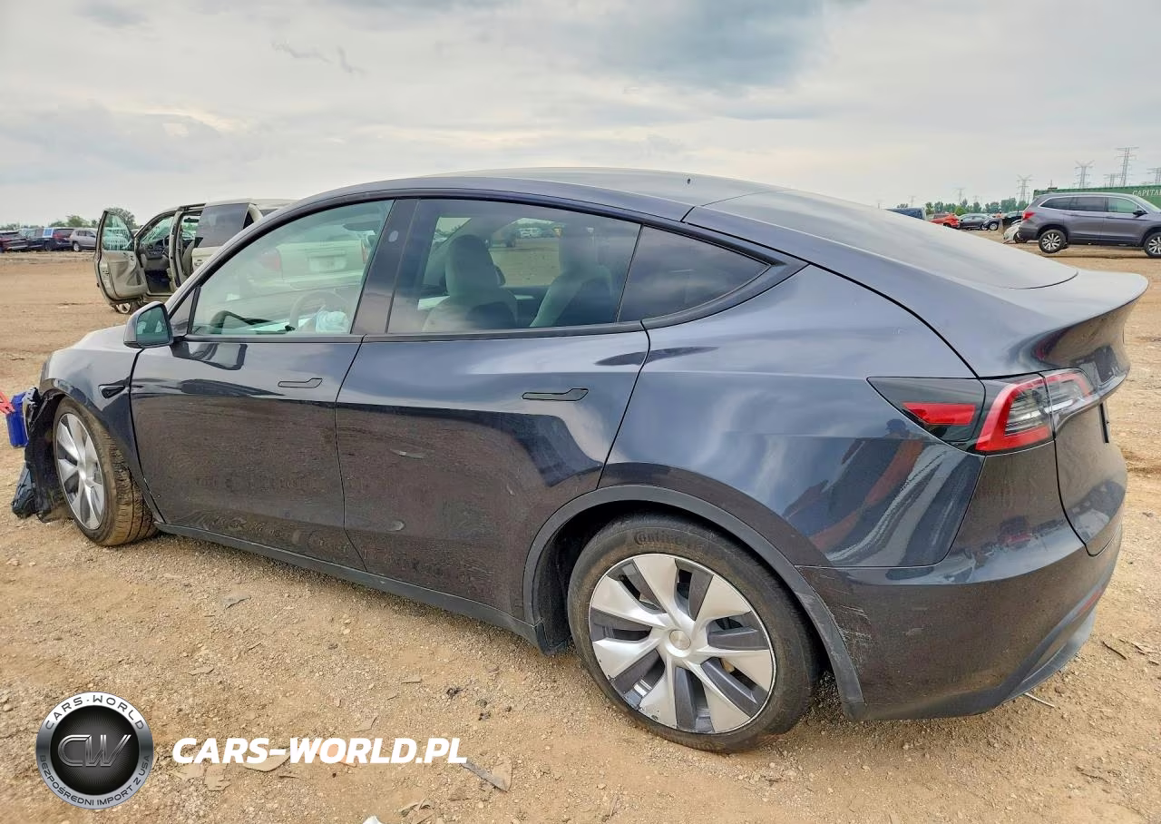 2024 Tesla Model Y VIN:7SAYGDEE7RF027045 - 2