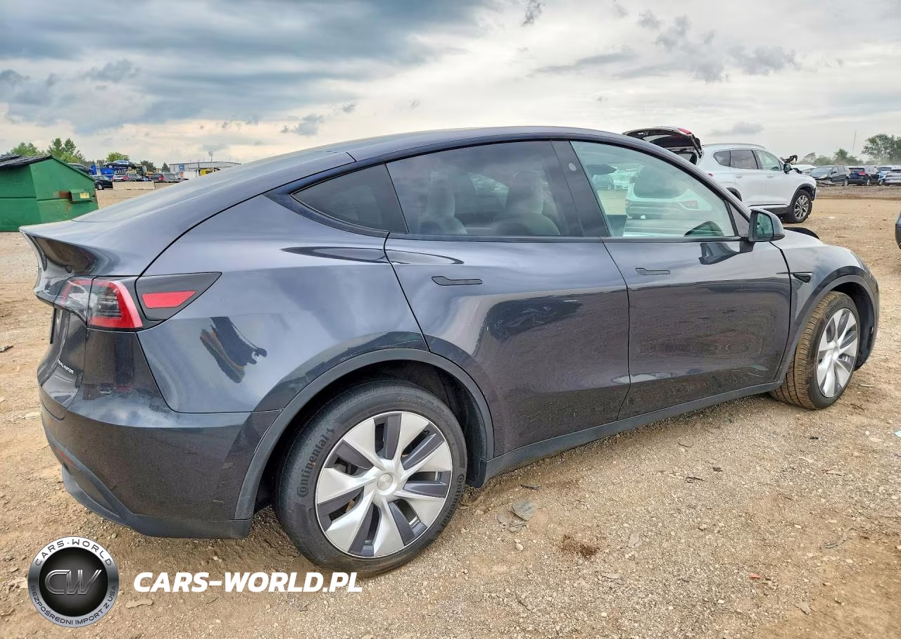 2024 Tesla Model Y VIN:7SAYGDEE7RF027045 - 3