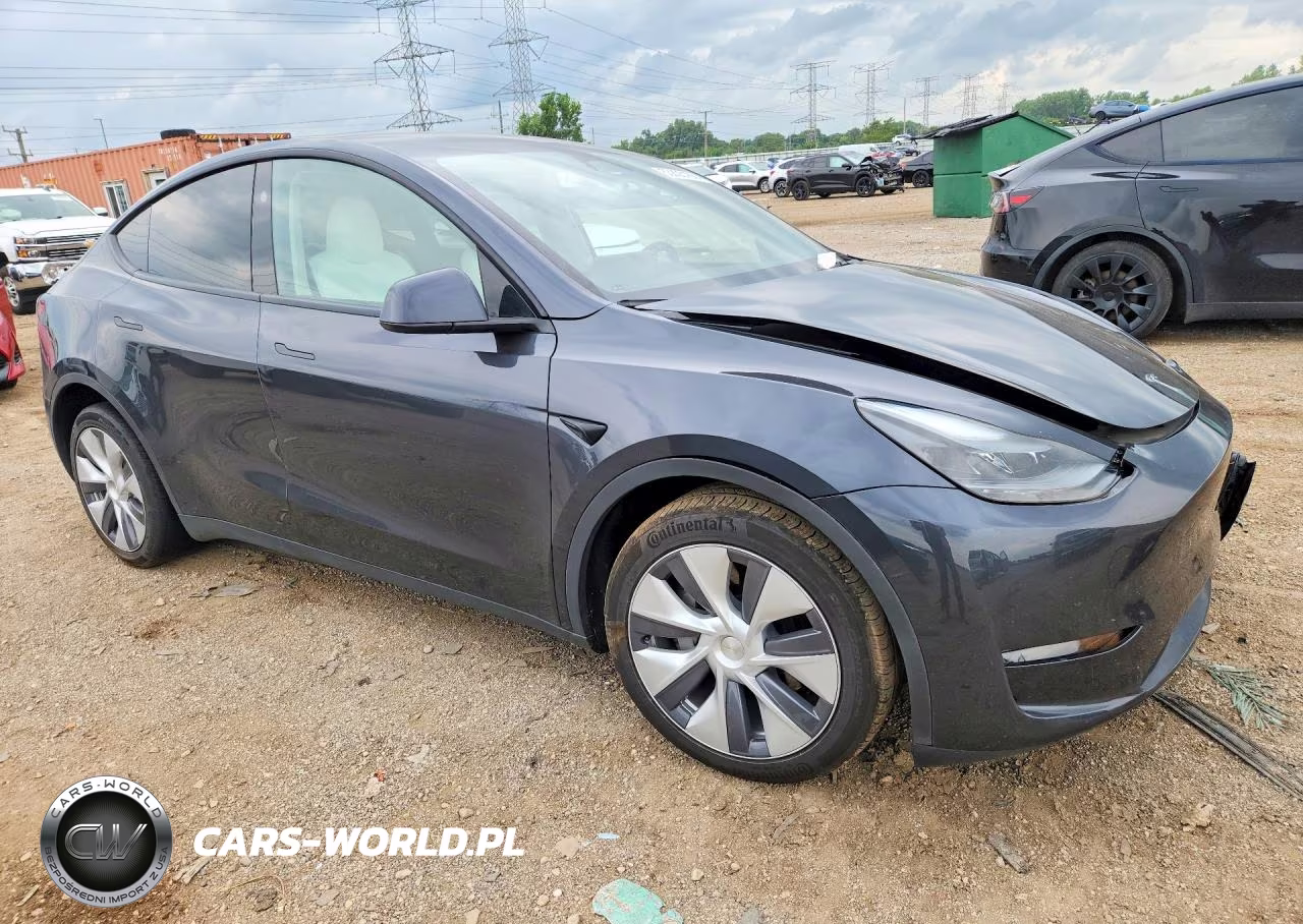 2024 Tesla Model Y VIN:7SAYGDEE7RF027045 - 4