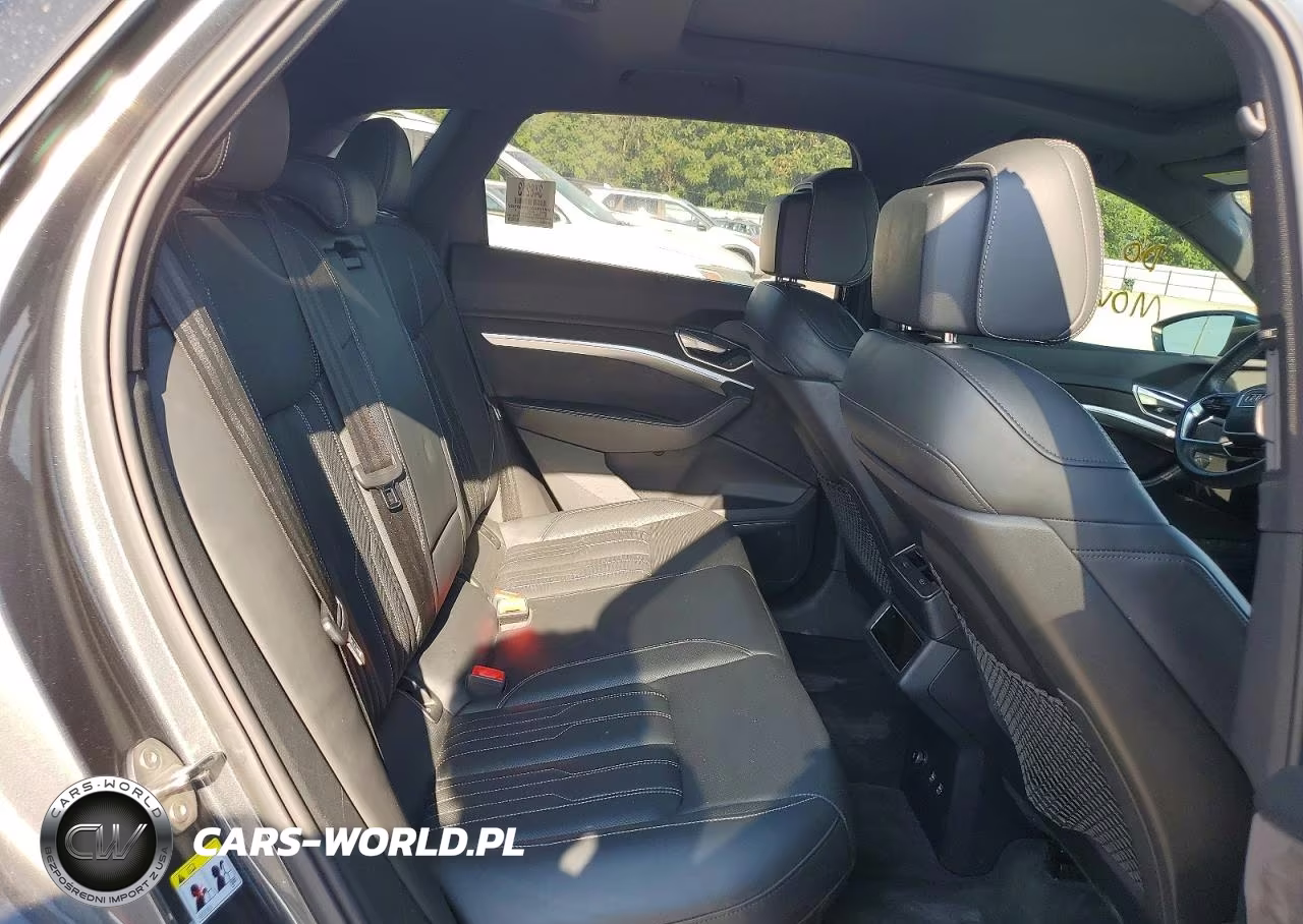 2019 Audi E-Tron Prestige VIN:WA1VAAGE3KB007357 - 11