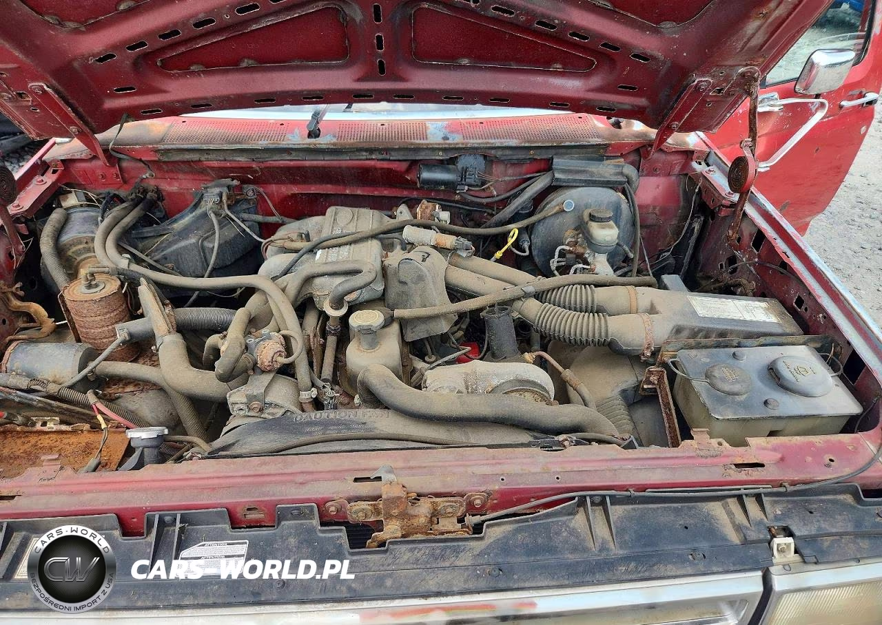 1988 Ford F150 VIN:1FTEF15Y3JNB74481 - 11