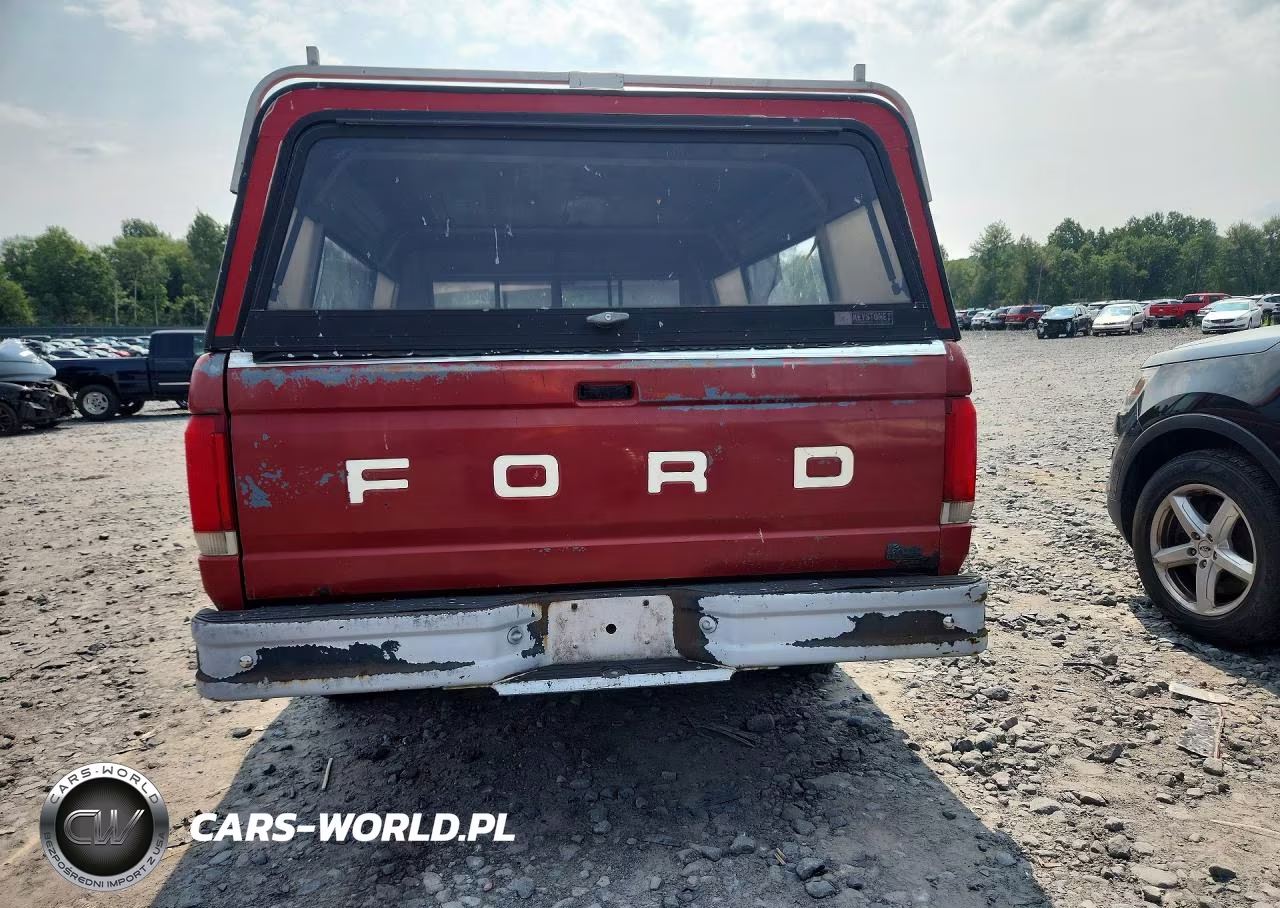 1988 Ford F150 VIN:1FTEF15Y3JNB74481 - 6
