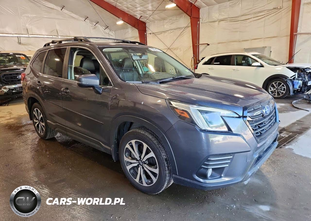 2022 Subaru Forester Limited VIN:JF2SKAPCXNH462939 - 4