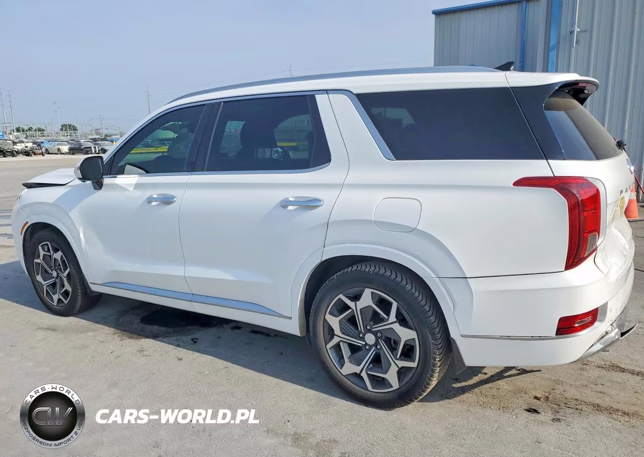 2021 Hyundai Palisade Calligraphy VIN:KM8R7DHE4MU222819 - 2