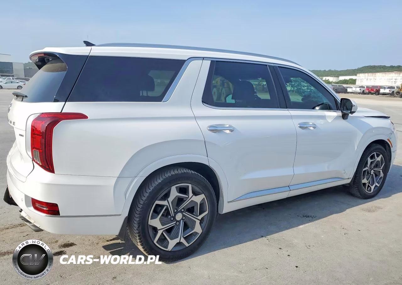 2021 Hyundai Palisade Calligraphy VIN:KM8R7DHE4MU222819 - 3