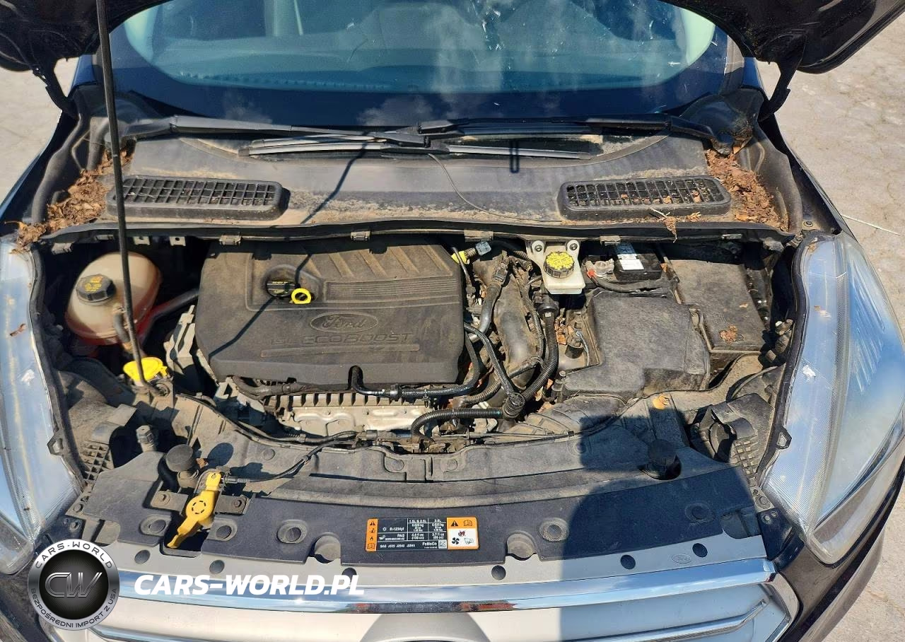 2018 Ford Escape Se VIN:1FMCU9GD8JUD58046 - 12
