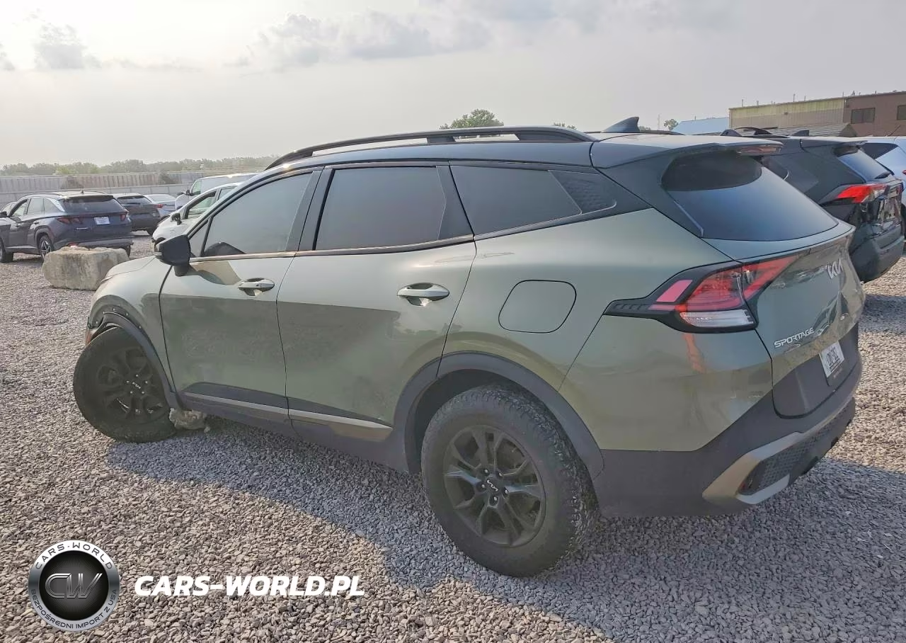 2023 Kia Sportage X-Pro VIN:5XYK7CAF4PG010589 - 2