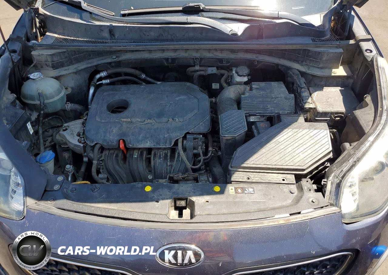 2019 Kia Sportage Lx VIN:KNDPM3AC8K7597549 - 12