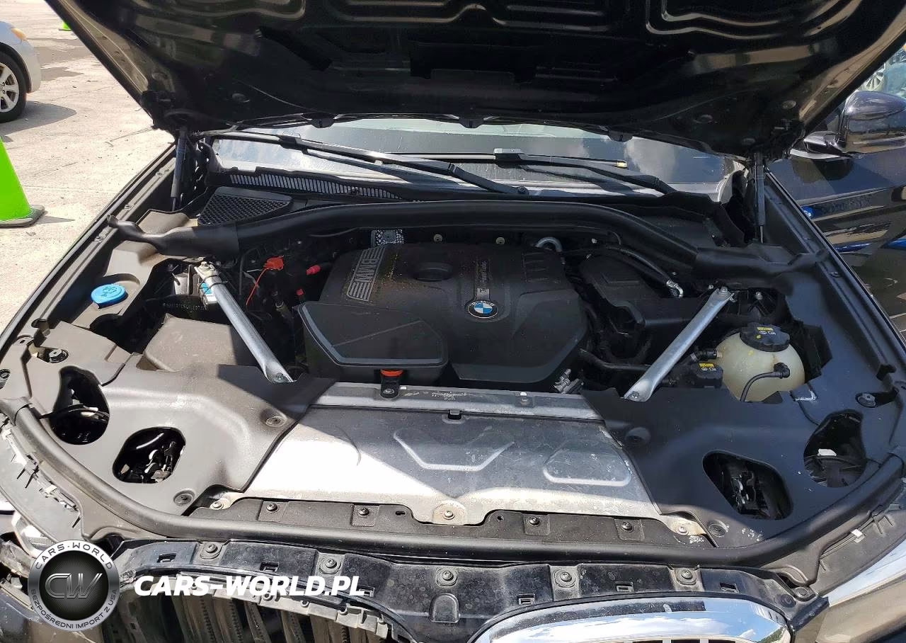 2019 BMW X3 Sdrive30I VIN:5UXTR7C54KLE97320 - 12