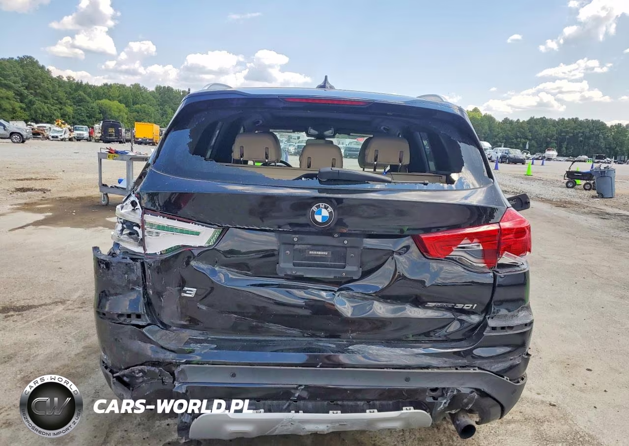 2019 BMW X3 Sdrive30I VIN:5UXTR7C54KLE97320 - 6