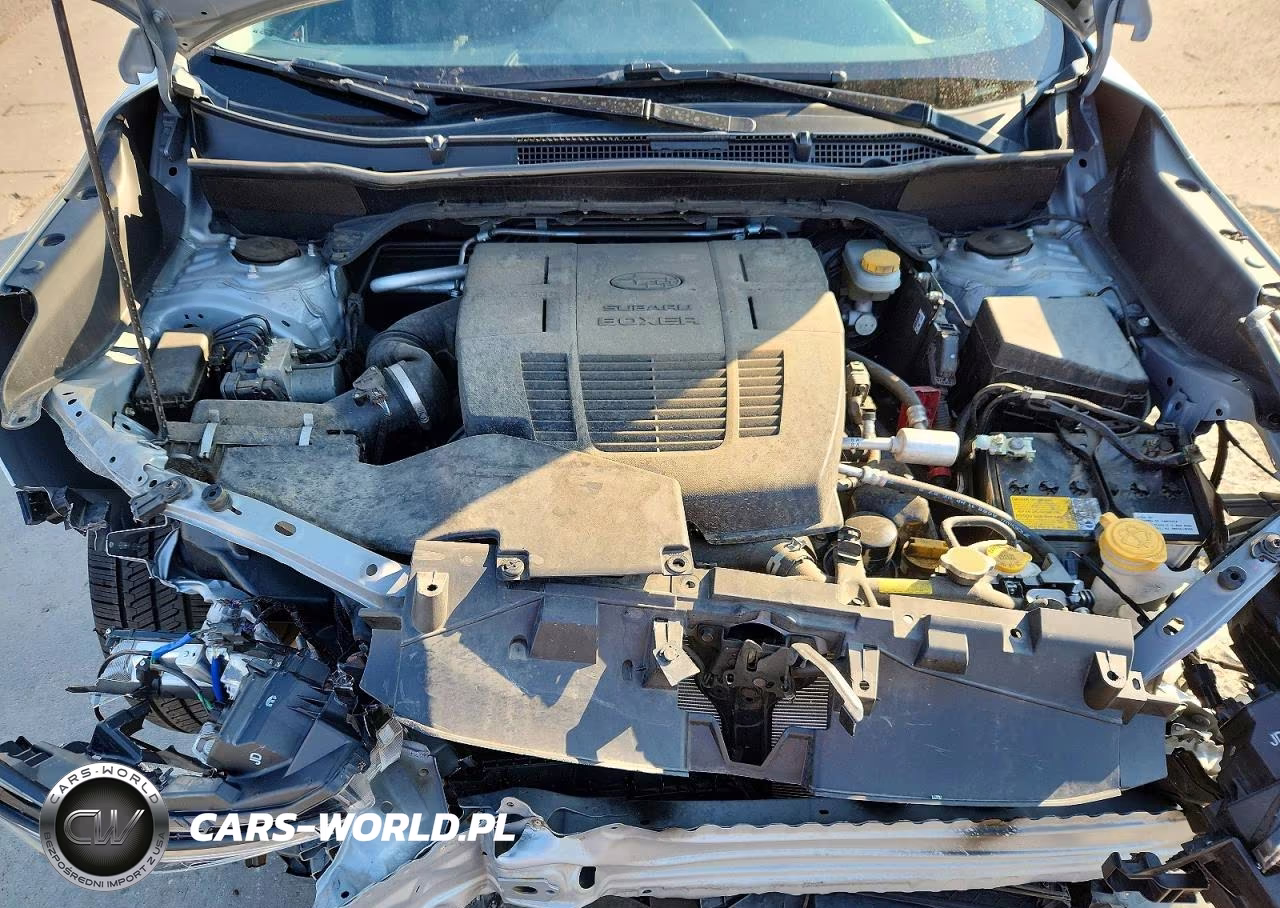 2019 Subaru Forester Premium VIN:JF2SKAGC5KH411621 - 12