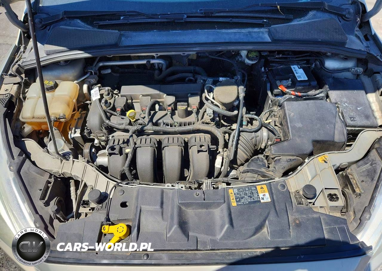 2015 Ford Focus Se VIN:1FADP3F28FL204520 - 11