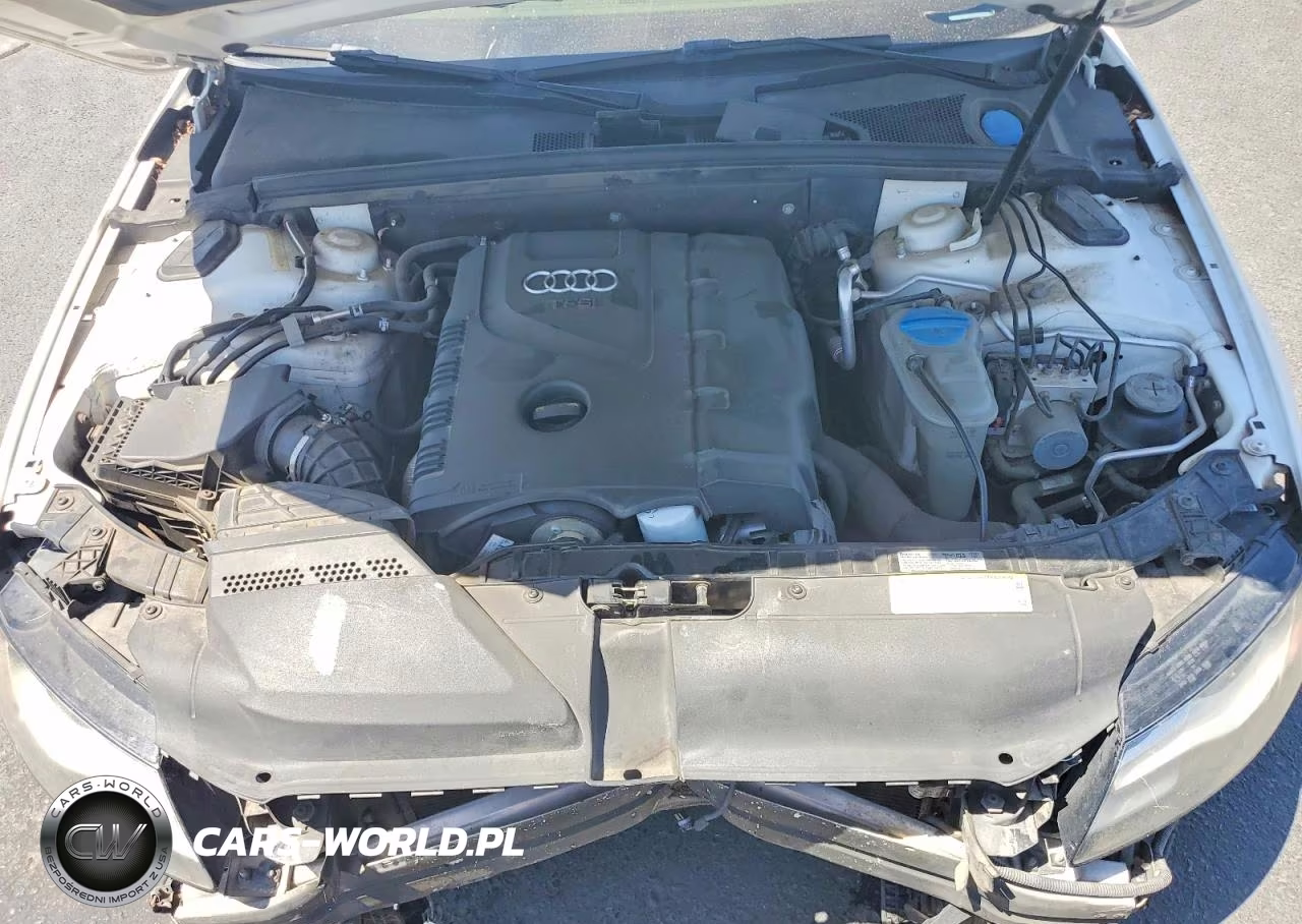 2012 Audi A4 Premium Plus VIN:WAUFFAFL8CN000350 - 11