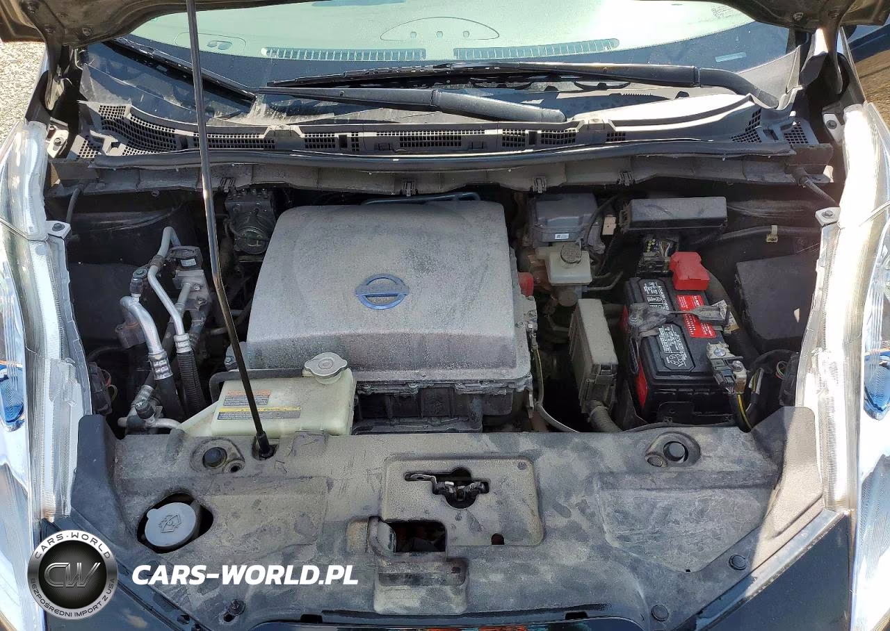 2014 Nissan Leaf Sv VIN:1N4AZ0CP0EC338884 - 11