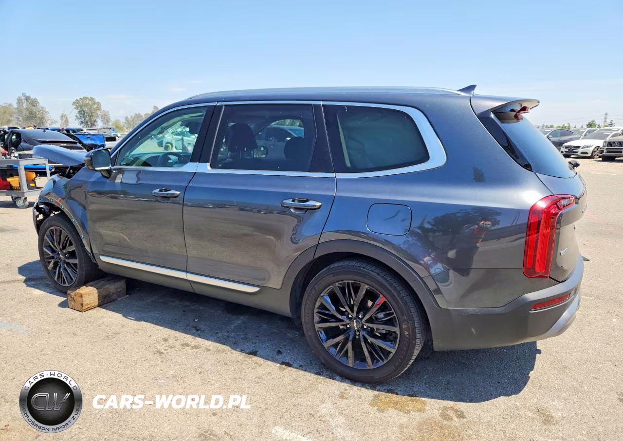 2022 Kia Telluride Sx VIN:5XYP5DHC6NG307308 - 2