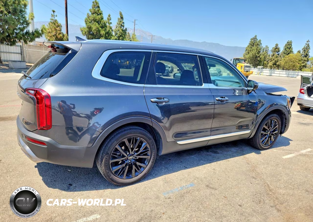2022 Kia Telluride Sx VIN:5XYP5DHC6NG307308 - 3