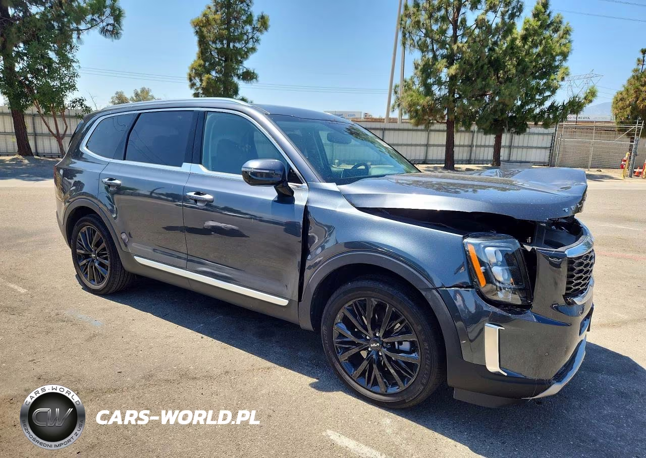 2022 Kia Telluride Sx VIN:5XYP5DHC6NG307308 - 4