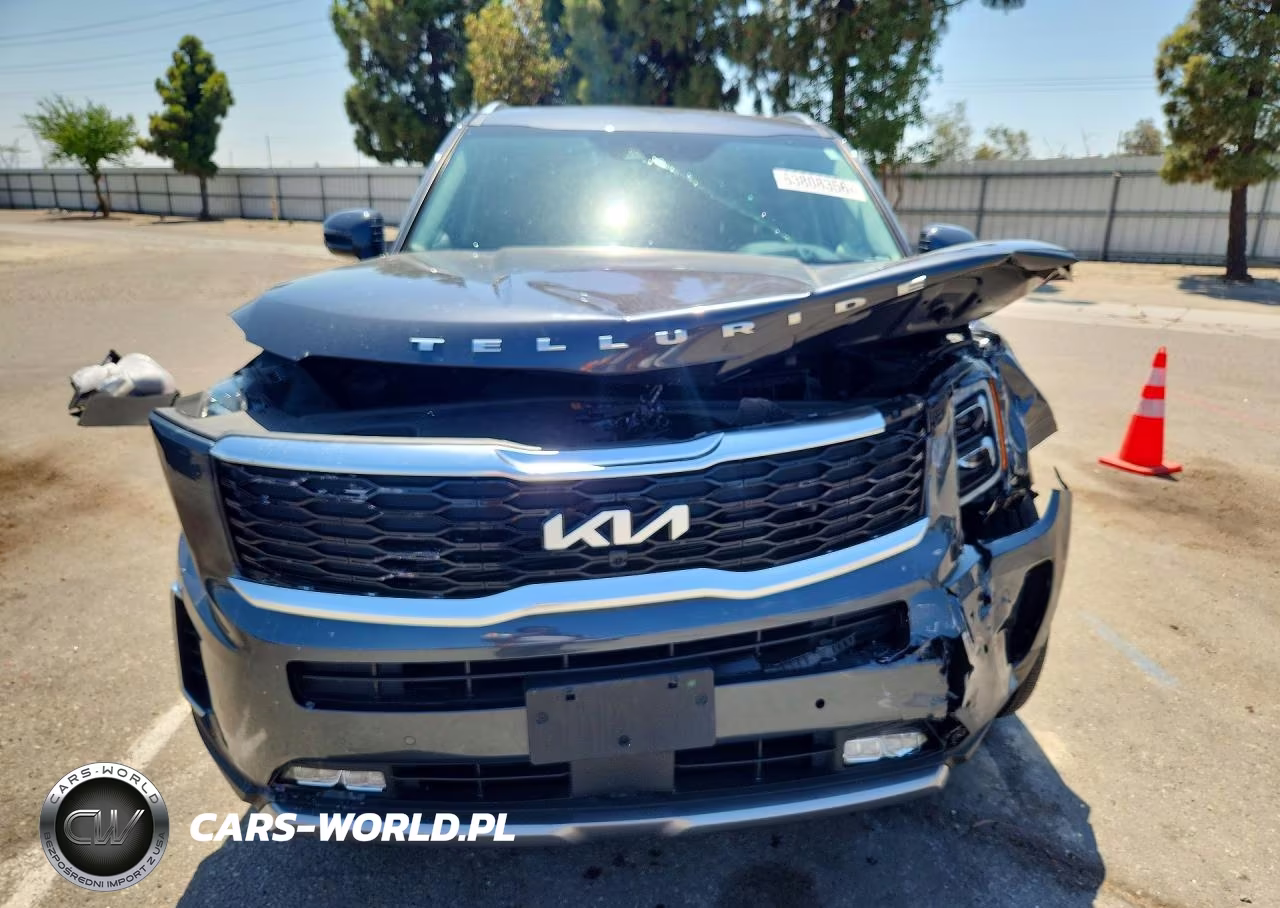 2022 Kia Telluride Sx VIN:5XYP5DHC6NG307308 - 5