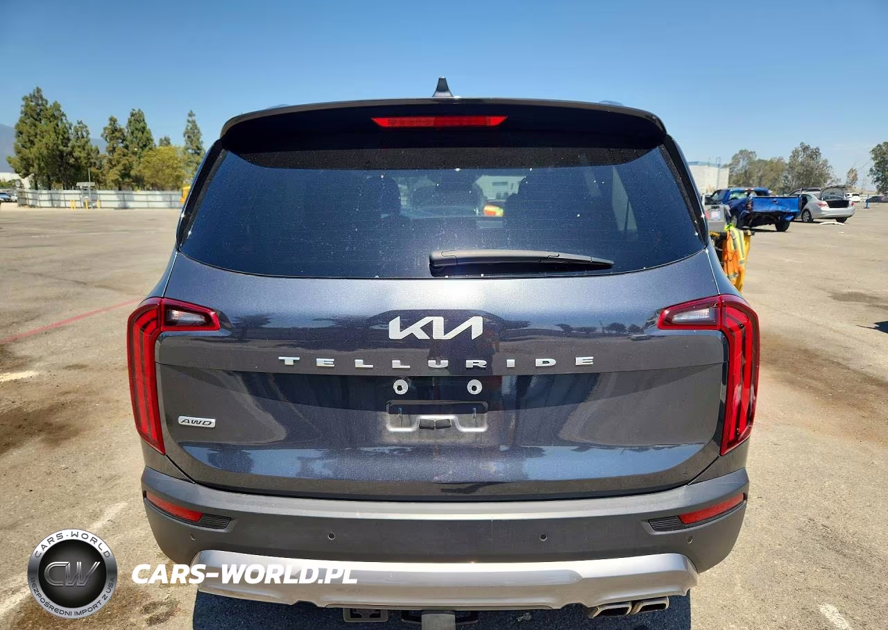 2022 Kia Telluride Sx VIN:5XYP5DHC6NG307308 - 6