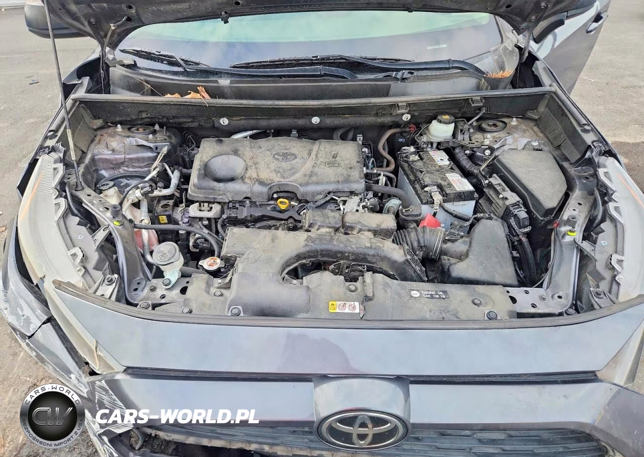 2019 Toyota Rav4 Le VIN:JTMF1RFV4KD018799 - 12