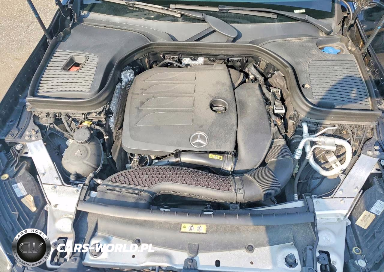 2020 Mercedes-Benz Glc 300 4Matic VIN:W1N0G8EB0LF813658 - 12