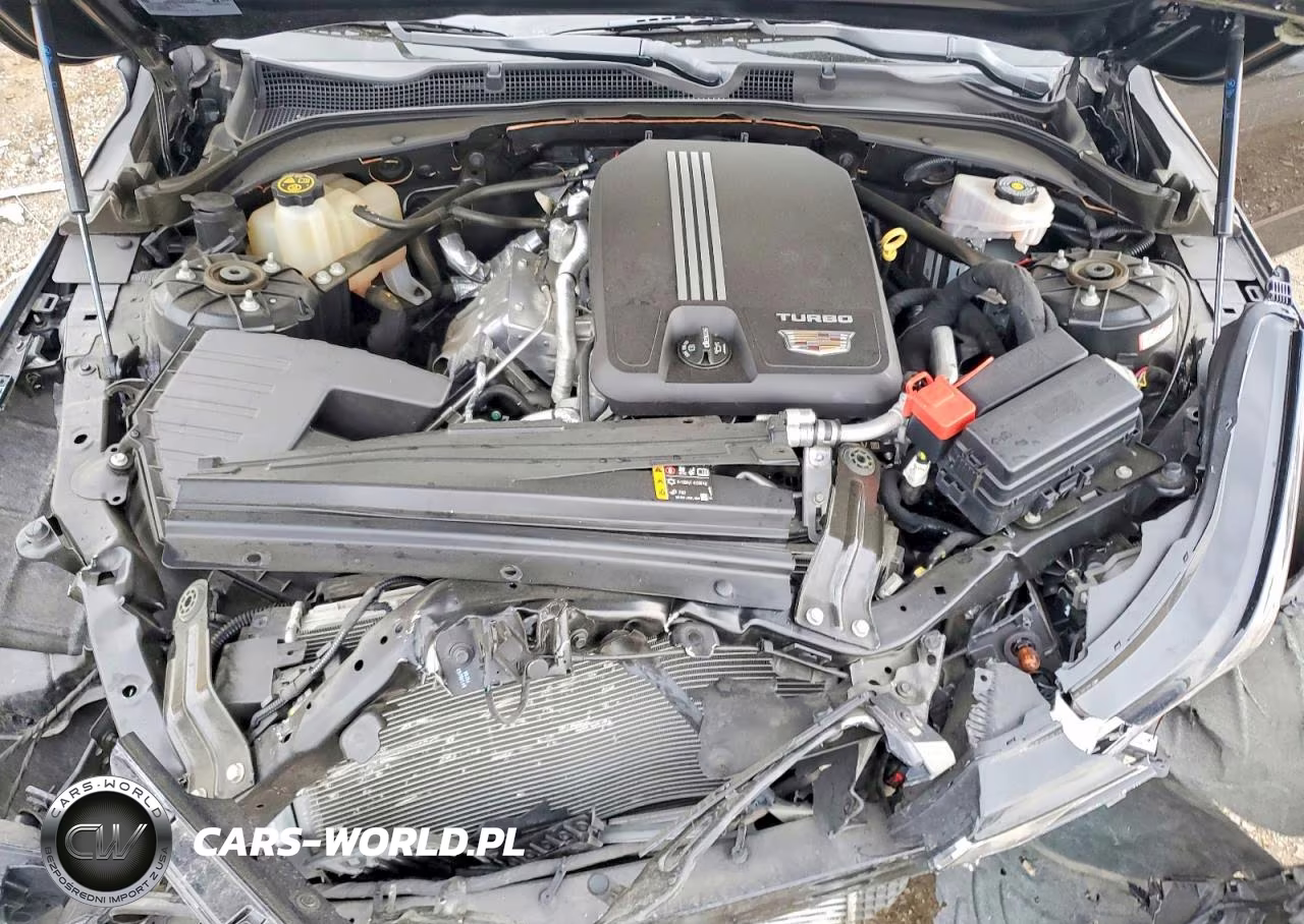 2020 Cadillac Ct4 Premium Luxury VIN:1G6DF5RK5L0139095 - 11