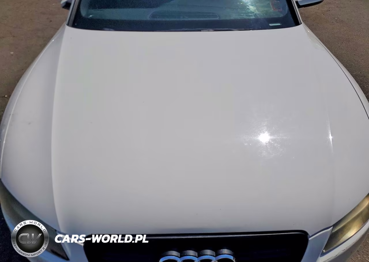2010 Audi A5 Prestige VIN:WAU4FAFR5AA050462 - 11
