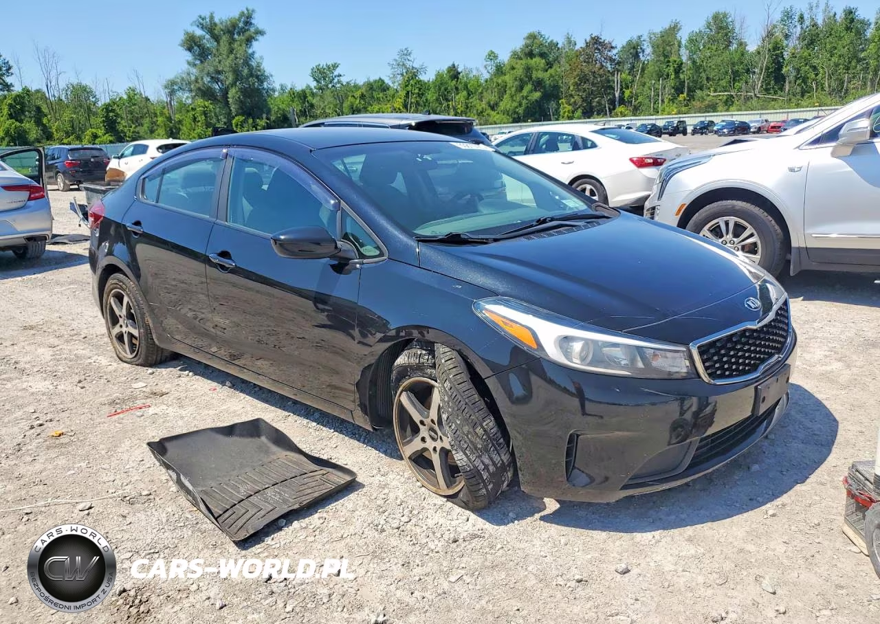 2017 Kia Forte Lx VIN:3KPFK4A78HE070095 - 4
