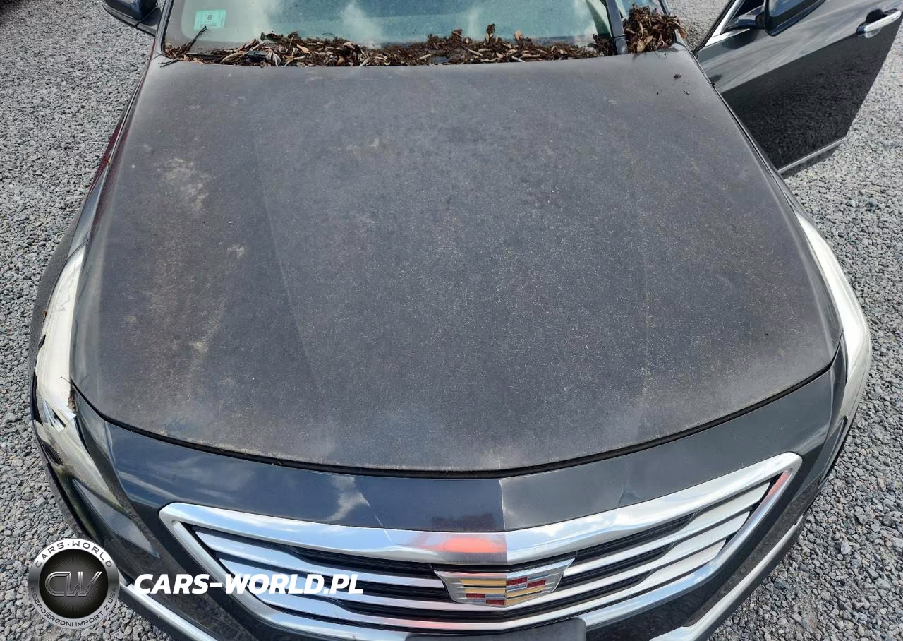 2016 Cadillac Ct6 Luxury VIN:1G6KD5RS7GU158940 - 11