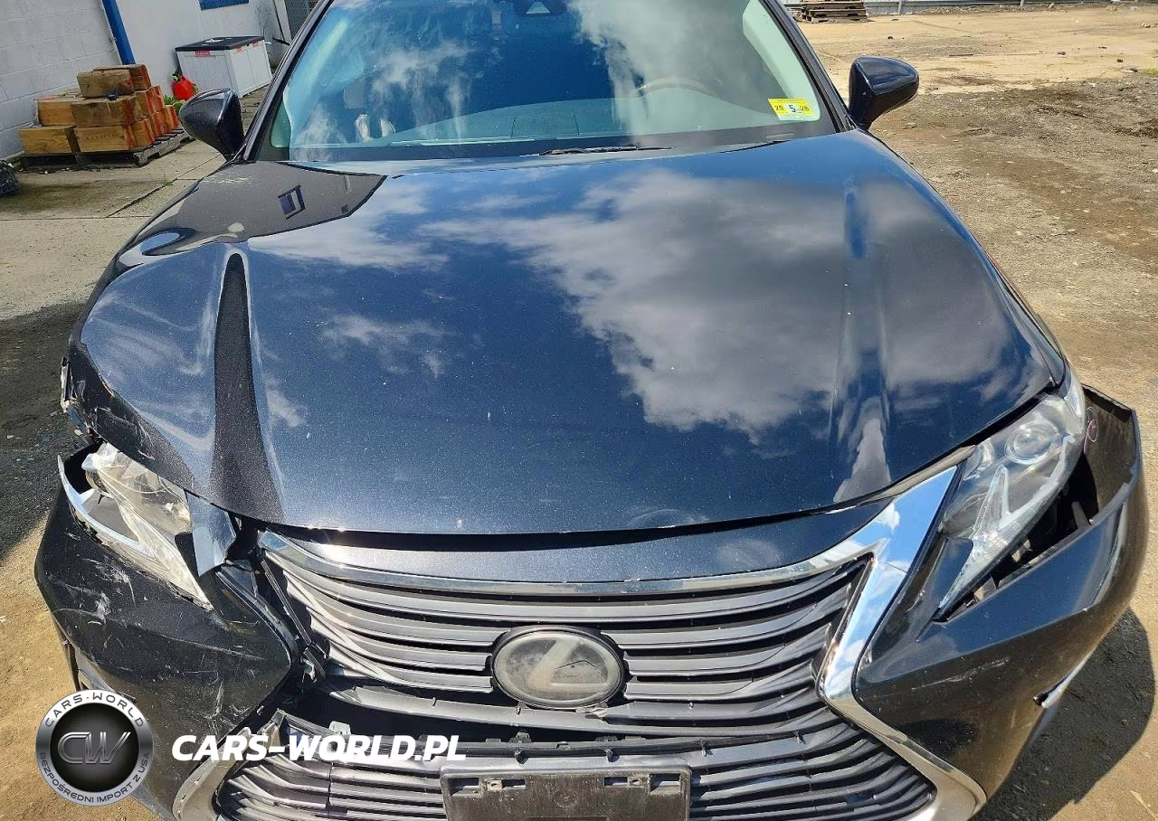 2017 Lexus Es 350 VIN:58ABK1GG4HU066555 - 11