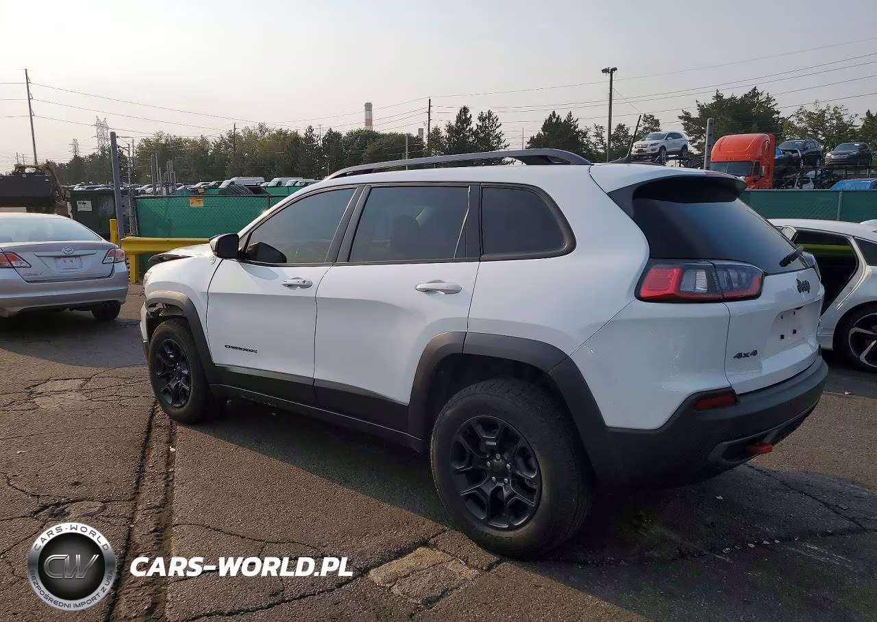 2020 Jeep Cherokee Trailhawk VIN:1C4PJMBX2LD508836 - 2