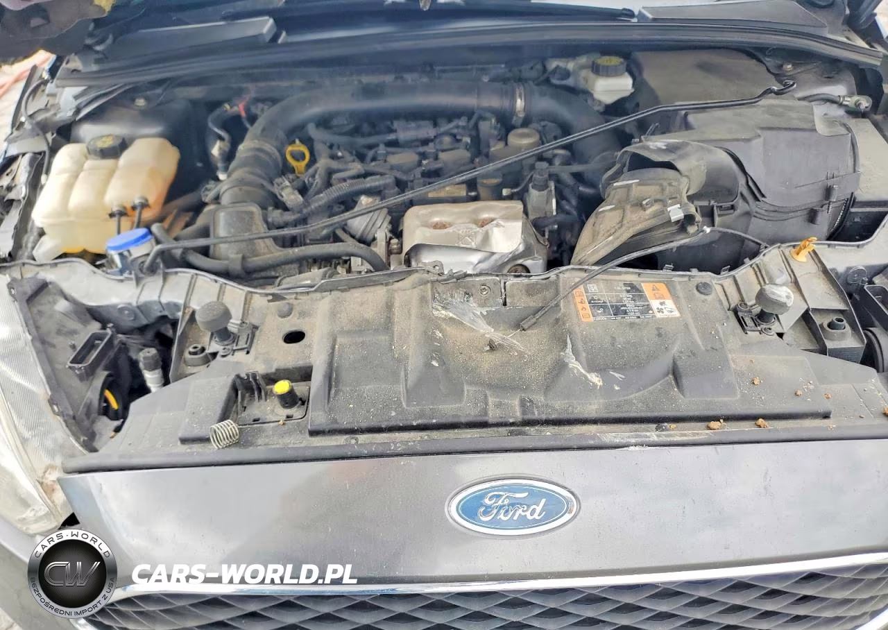 2018 Ford Focus Se VIN:1FADP3FE3JL307881 - 11