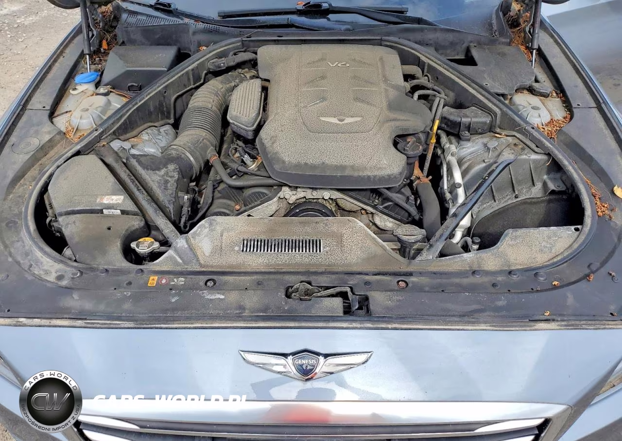 2017 Genesis G80 3.8 VIN:KMHGN4JE8HU191815 - 11