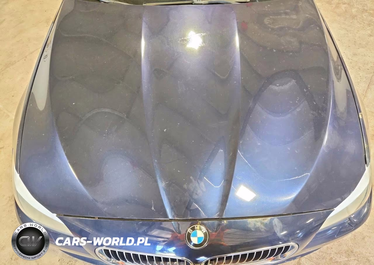2013 BMW 528 Xi VIN:WBAXH5C56DD108551 - 11